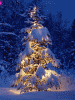 99px.ru аватар Сверкающая елка в ночном лесу