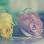 Аватар Две розы