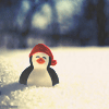 99px.ru аватар Пингвин-игрушка в шапке в снегу