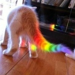99px.ru аватар Кот с разноцветным хвостом цвета радуги