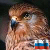 Аватар Орёл и флаг