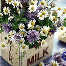Аватар Цветы в пакете из-под молока (milk)