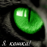 Аватар Зелёный кошачий глаз (Я кошка!)