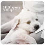 99px.ru аватар Щенок на руках у человека ( just like you)