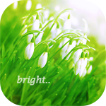 99px.ru аватар Подснежники (Bright.. / Ярко..)
