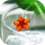 Аватар Оранжевый цветочек ( Lightness.. /  Легкость.. )