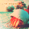 Аватар Рачок в раковине (-к морю!)