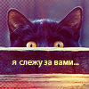 Аватар Чёрная кошка выглядывает (я слежу за вами...)
