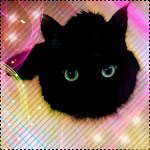 Аватар Черный котенок