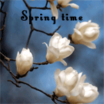 Аватар Белые цветочки (Spring time / Весеннее время)