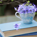 Аватар Чашка с синими цветочками на книге