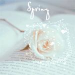 Аватар Белая роза (Spring / Весна)