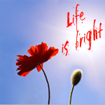 Аватар Цветок на фоне голубого неба (Life is bright)