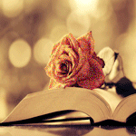 Аватар Роза лежит на книге