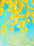Аватар Желтая мимоза над водой ( ' С добрым утром!' )