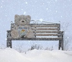 99px.ru аватар Плюшевый медведь сидит  на скамье с аквариумом зимой