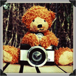 Аватар Медведь с фотоаппаратом на фоне природы