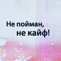 99px.ru аватар Не пойман, не кайф!