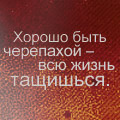 Аватар Хорошо быть черепахой - всю жизнь тащишься