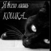 99px.ru аватар Черная кошка (Я всего лишь КОШКА)