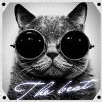 Аватар Кот в очках (The best)