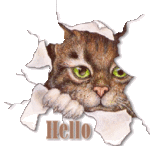 99px.ru аватар Кот, выглядывающий сквозь прореху в бумаге Hello/Привет