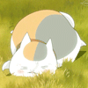 Аватар Nyanko-sensei / Котя-сенсей из аниме Тетрадь дружбы Нацумэ / Natsume Yuujinchou / Natsume`s Book of Friends валяется на траве
