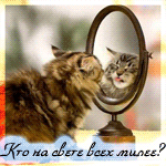 99px.ru аватар Кот показывает язык зеркалу (Кто на свете всех милее?)