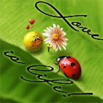 Аватар Смайлик протягивает цветок божьей коровке (Love is life \ любовь это жизнь)