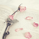 Аватар Роза лежит на книге