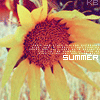 Аватар Подсолнух (Summer / Лето)