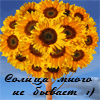 Аватар Подсолнухи (Солнца много не бывает)