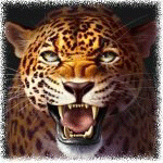 99px.ru аватар Леопард с блестящими злыми глазами
