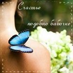 99px.ru аватар У девушки на плече сидит голубая бабочка ( Счастье подобно бабочке)