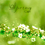99px.ru аватар Белые цветочки, spring