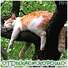 99px.ru аватар Кот заснул на дереве (Отдыхаем хорошо!)