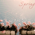 99px.ru аватар Цветы в горшочках, spring