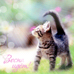 99px.ru аватар Котенок в цветочном поле ('Весна идет!')