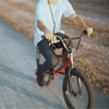 99px.ru аватар Парень едет по дороге на велосипеде
