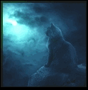 Аватар Кот на фоне ночного неба