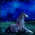 Аватар Лошадь лежит на лугу ночью
