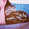 Аватар Котенок спит на плече у мужчины (Speak softly / Говорите тише)