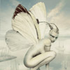 99px.ru аватар Девушка с крыльями бабочки