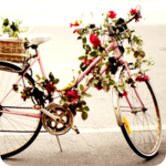 99px.ru аватар Велосипед в цветах