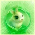 99px.ru аватар Белый кролик 