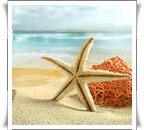 99px.ru аватар Морская звезда на пляже
