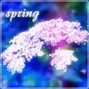 Аватар Волшебная сирень ( spring / весна )