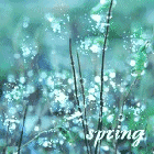 99px.ru аватар Трава в росе ( spring / весна )