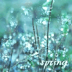 Аватар Трава в росе ( spring / весна )
