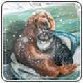 99px.ru аватар Собака с кошкой, сидят прижавшись друг к другу на скамейке, под снегопадом